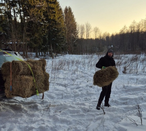 Dokarmianie styczen 2026 obwod 38.jpg